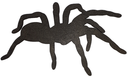 Ombre - Araignée